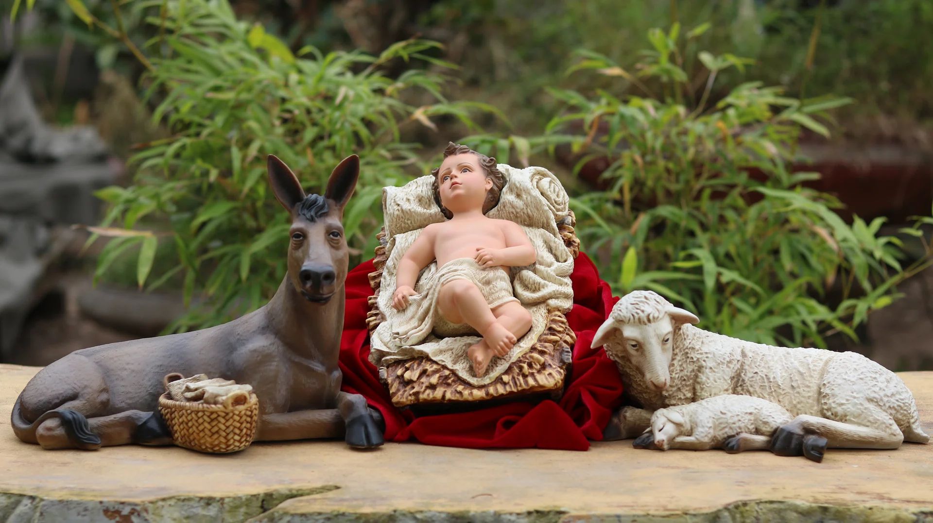 Tượng Giáng sinh tại Nhà sách Nhà thờ Chánh tòa Đà Nẵng. Tượng Công giáo Filumena là tượng của Tình thương và Hy vọng. Bản quyền các tác phẩm tượng Công giáo thuộc về Filumena Art, Cộng hòa Pháp. Filumena sáng tác và sản xuất nhiều mẫu tượng Công giáo khác như Tượng chịu nạn, Tượng công giáo mini, Tượng công giáo đẹp, Bàn thờ Chúa phòng khách, Bàn thờ Công giáo phòng khách