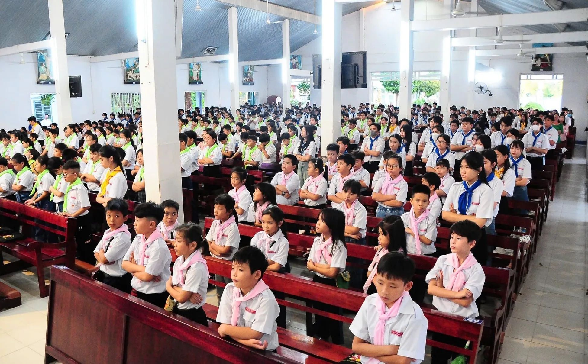 Các bậc học giáo lý, Chiên Con, Ấu Nhi, Thiếu Nhi, Bao Đồng, Vào Đời, Dự tòng, Giáo lý Hôn nhân.