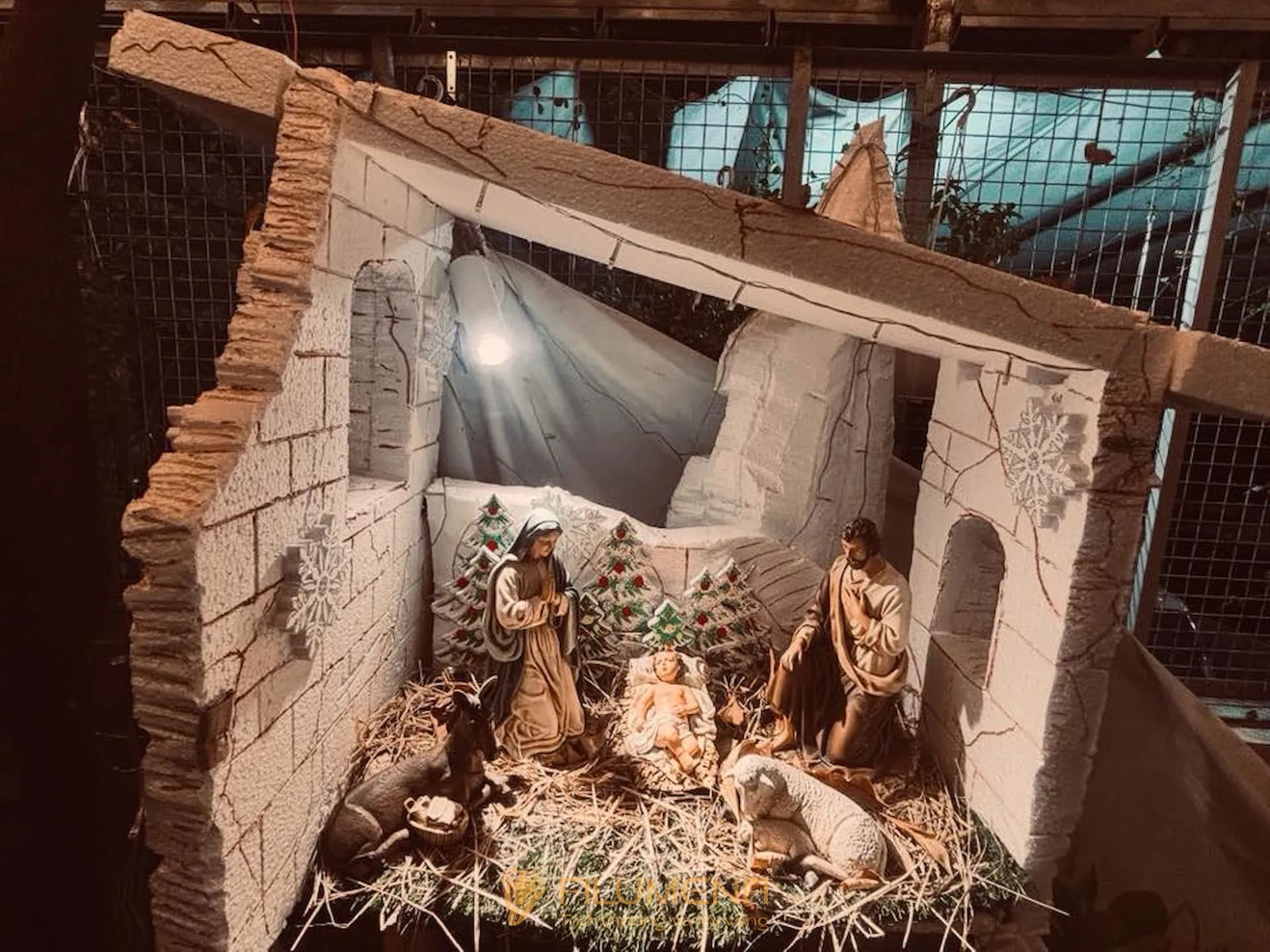 Hình ảnh tượng Chúa hài đồng Filumena do khách hàng gửi lại từ mọi miền Việt Nam.