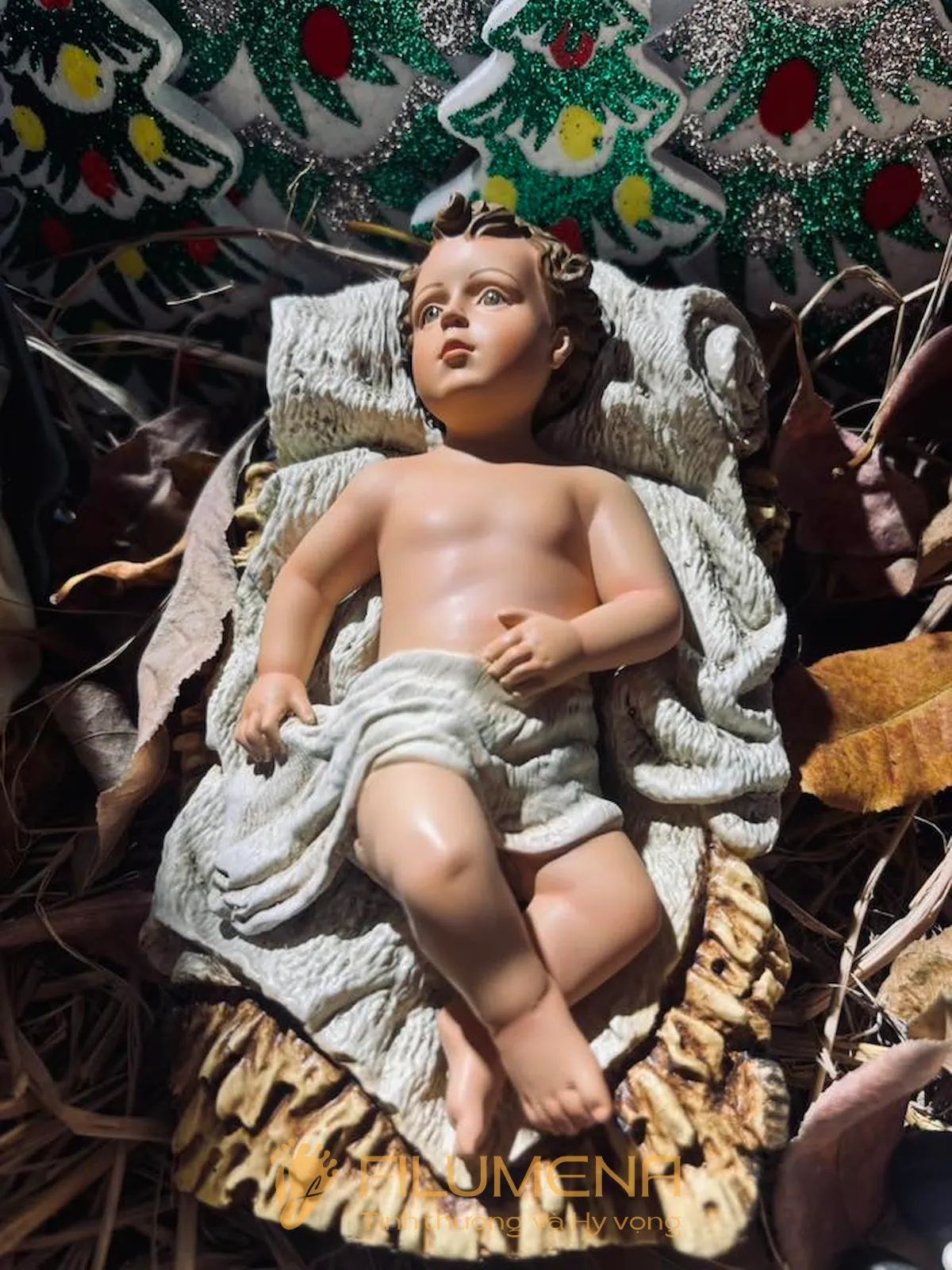 Hình ảnh tượng Chúa hài đồng Filumena do khách hàng gửi lại từ mọi miền Việt Nam.