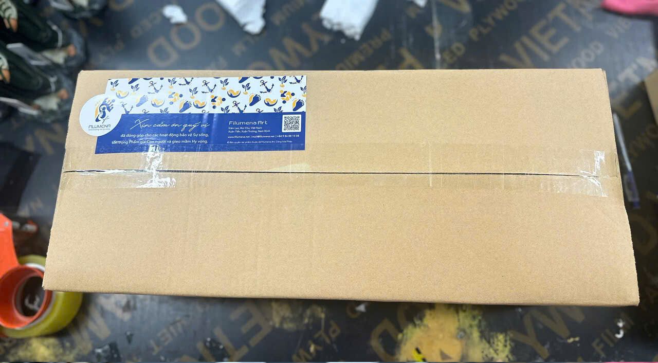 Hộp carton Filumena đã được đóng và niêm phong