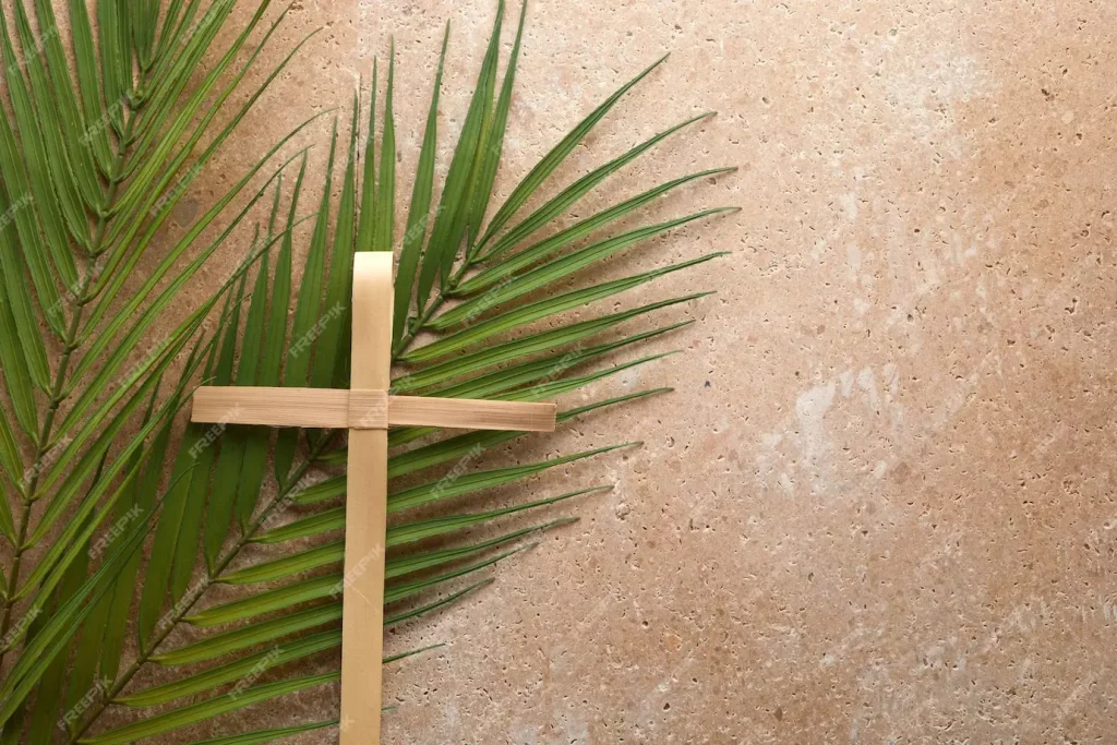 Chúa nhật Lễ lá 2026: cành thiên tuế