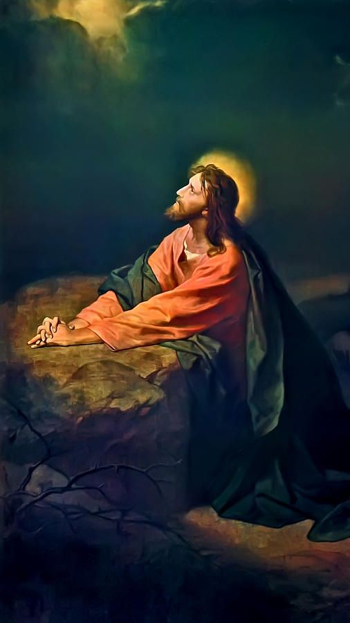 Hình ảnh 5 sự thương