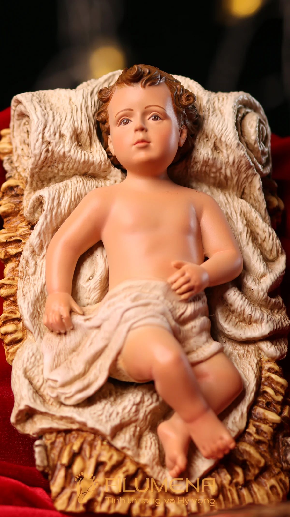 Tượng Chúa hài đồng tại Hố Nai. Tượng Công giáo Filumena là tượng của Tình thương và Hy vọng. Bản quyền các tác phẩm tượng Công giáo thuộc về Filumena Art, Cộng hòa Pháp. Filumena sáng tác và sản xuất nhiều mẫu tượng Công giáo khác như Tượng Đức Mẹ để xe hơi, Tượng Mẹ Maria, Tượng Đức Mẹ, Tượng Đức Mẹ Lộ Đức, Tượng Đức Mẹ Fatima