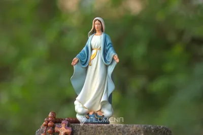 Mẫu Tượng Đức Mẹ để xe hơi của Filumena nhìn từ góc nghiêng