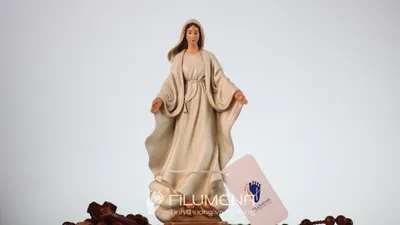 Hình ảnh Tượng Đức Mẹ để xe ô tô đặt trên nền sáng để dễ xem chi tiết