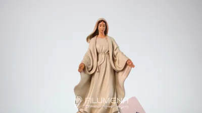 Tượng Đức Mẹ để xe hơi phù hợp để tham khảo khi chọn tượng Công giáo tại Nhà sách Nhà thờ lớn Hà Nội