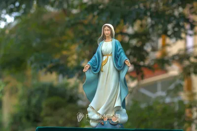 Một số hình ảnh tượng Đức Mẹ trong kho Filumena; riêng mẫu Fatima được giới thiệu ở trang tượng Đức Mẹ Fatima.