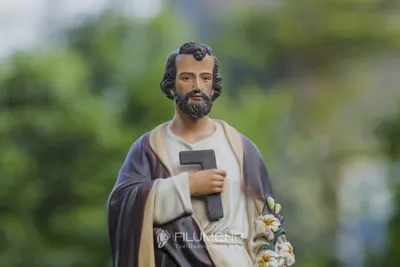 Tượng Thánh Giuse tại Nhà sách Nhà thờ Chánh tòa Đà Nẵng. Tượng Công giáo Filumena là tượng của Tình thương và Hy vọng. Bản quyền các tác phẩm tượng Công giáo thuộc về Filumena Art, Cộng hòa Pháp.